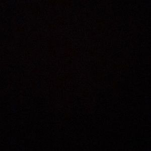 Meet your Posher, Hayley